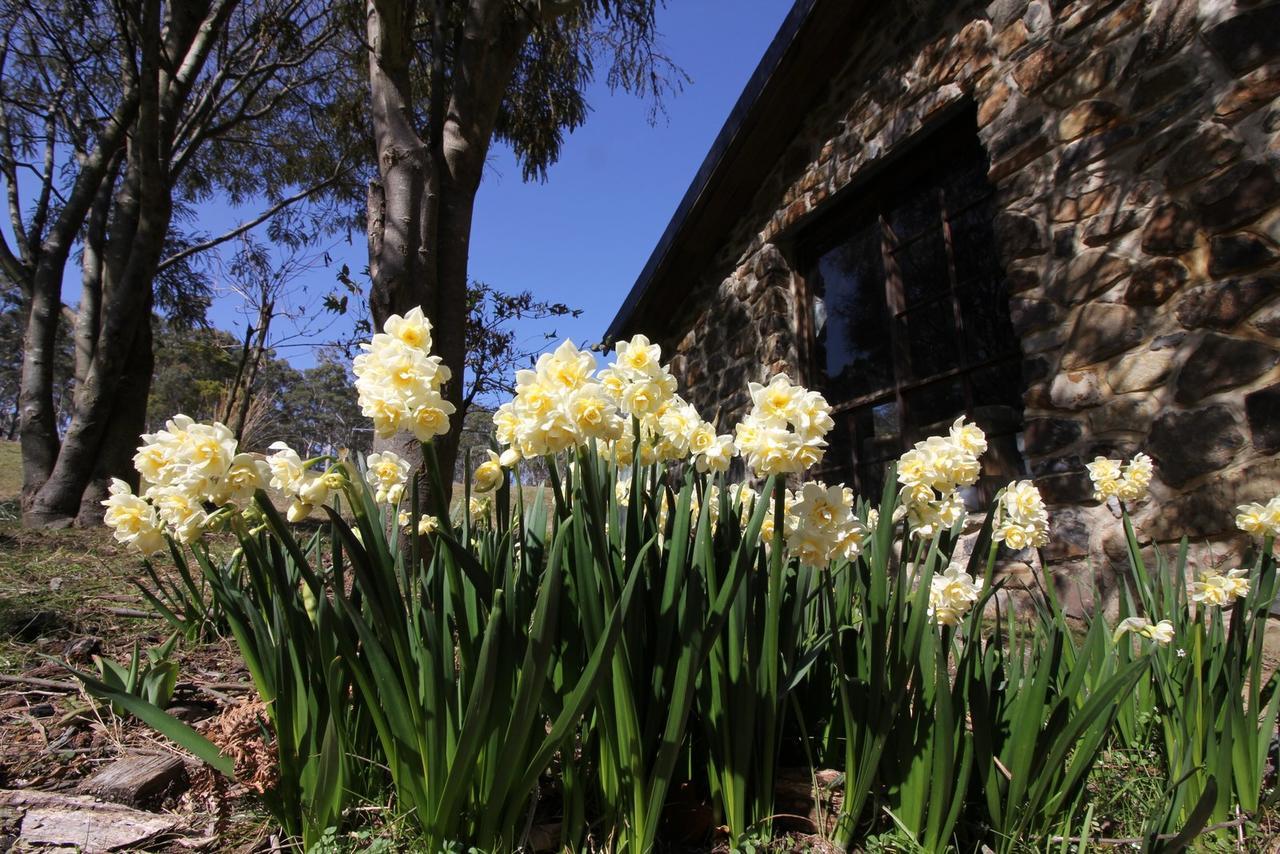 The Great House Bnb Buckland Eksteriør bilde